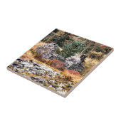 GUSH-HÜTTEN FLIESE (Seite)