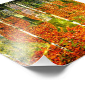 Gustav Klimt Birch Trees Fotodruck (Ecke)