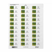 Gustav Klimt Das Haus Guardaboschi (Vorne)