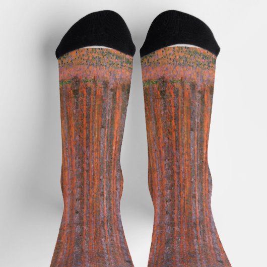 Gustav Klimt Fir Forest Tannenwald Rote Bäume Socken (Oben)