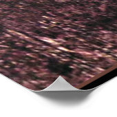 Gustav Klimt-Gemälde, Dame mit Pelzhut und Boa Poster (Ecke)