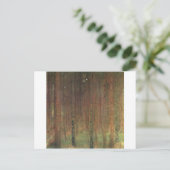 Gustav Klimt - Pine Trees, 1902 Postkarte (Stehend Vorderseite)