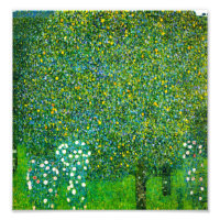 Gustav Klimt Rose unter der Birne