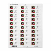 Gustav Klimt Tuxedo Cat (Vorne)