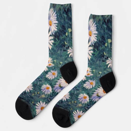 Gustave Caillebotte - Bed of Daisies, Detail Socken (Linkes Detail)