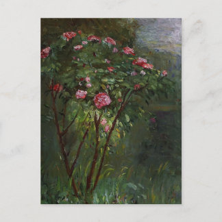 Gustave Caillebotte - Rose Bush in Blume Postkarte