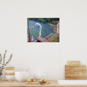 Gustave Caillebotte - The Bather / The Diver Poster (Küche)