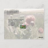 Gut bewässerter Garten Postkarte (Rückseite)