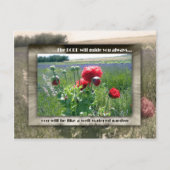 Gut bewässerter Garten Postkarte (Vorderseite)