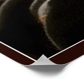 Gut Buch Poster (Ecke)