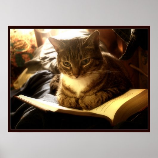 Gut Buch Poster (Vorne)