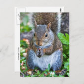 Gut für den letzten Biss Postkarte (Vorne/Hinten)