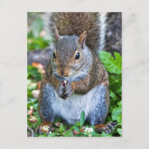 Gut für den letzten Biss Postkarte