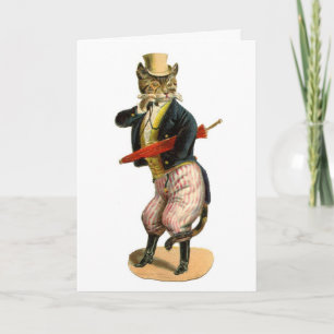 Gut gekleidete Kitty Cat Funny Happy Birthday Card Karte