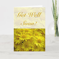 Gut - Gelbe Chrysanthemen