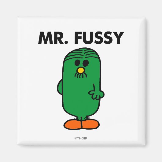 Gut gepflegter Herr Fussy Magnet (Vorne)