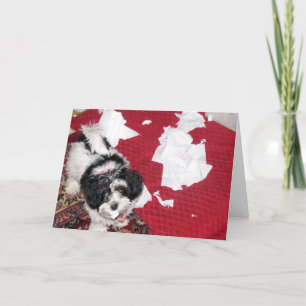 Gut machen - Havanese Welpenkarte Karte