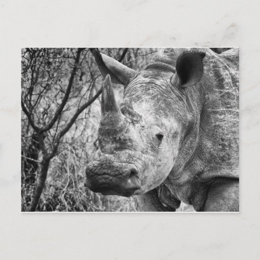 gut postkarte (Vorderseite)