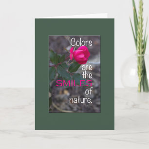 Gut Single Rosa Rose Foto Grüne Grenze Karte