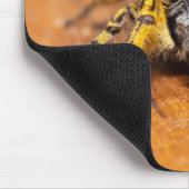 Gutaussehender Springer schaut dich an! Mousepad (Ecke)