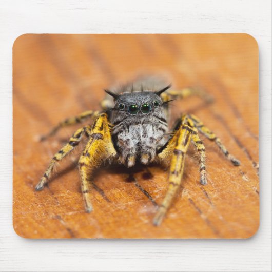 Gutaussehender Springer schaut dich an! Mousepad (Vorne)