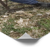 Gute alte Curtis Poster (Ecke)