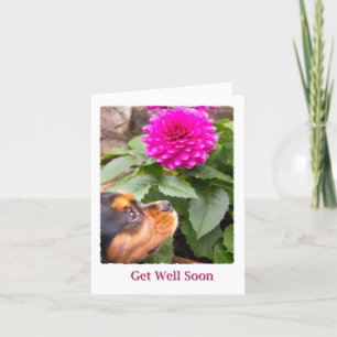Gute Besserung Dahlia und Cavalier King Charles Karte