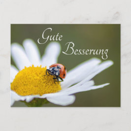 Gute Besserung mit Glücks-Marienkäfer Postkarte