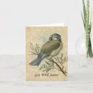 Gute Besserung, Vintage Bluetit Vogel Karte