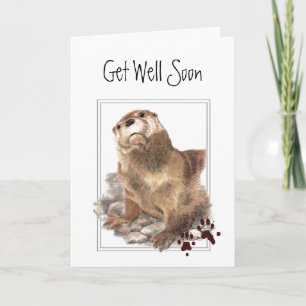 Gute Besserung, Wir Sorgen Uns, Süßer Otter & Schr Karte
