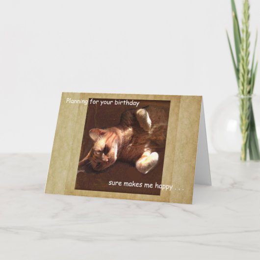 Gute Cat Card Planung für Ihren Geburtstag. Karte (Vorderseite)
