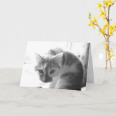 Gute Ermutigung Karte (Gelbe Blume)