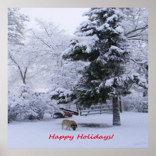 Gute Ferien!..... Poster (Vorne)