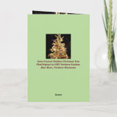 Gute Ferien! Real Tree Real Snow!Echte Weihnachten Karte (Rückseite)