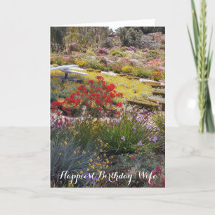 Gute Geburtstagsfeier-Ehefrau Karte