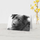 Gute Heilung Karte (Gelbe Blume)