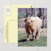 Gute Hochlandpostkarte Postkarte (Vorne/Hinten)