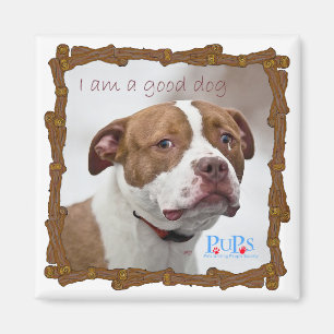 Gute-Hunde-Pit-Bull-Rettung Magnet