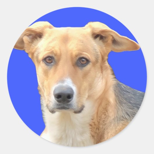Gute Hundekleber Runder Aufkleber (Vorderseite)