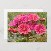 Gute kalifornische Mutterwoche! Postkarte (Vorne/Hinten)