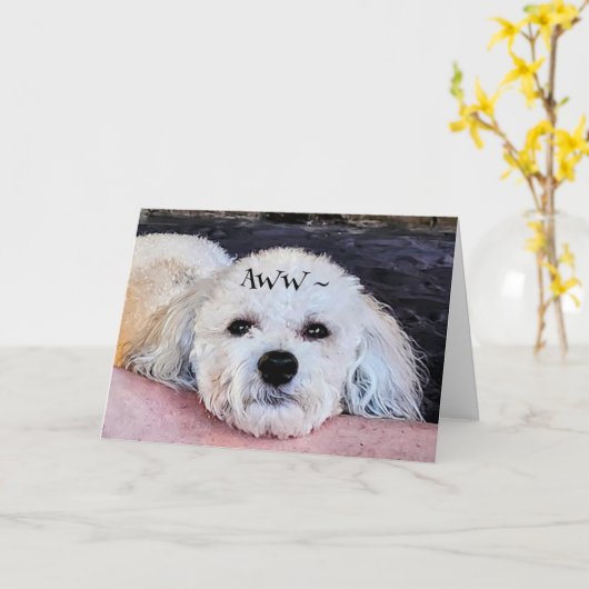 GUTE KARTE (Gelbe Blume)