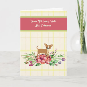 Gute Karte für Chihuahua