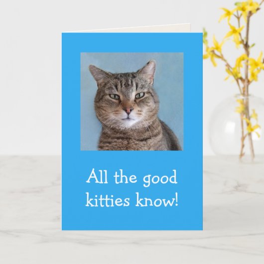 Gute Kätzchen Karte (Gelbe Blume)