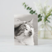 Gute Kätzchen! -Postkarte Postkarte (Stehend Vorderseite)