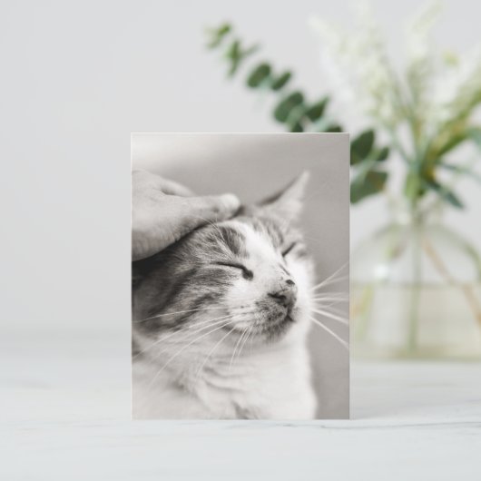 Gute Kätzchen! -Postkarte Postkarte (Stehend Vorderseite)