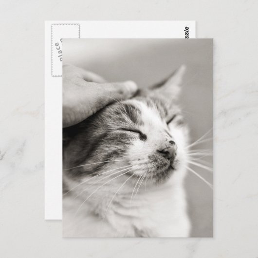 Gute Kätzchen! -Postkarte Postkarte (Vorne/Hinten)