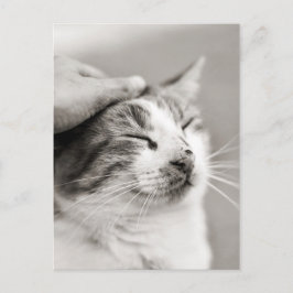 Gute Kätzchen! -Postkarte Postkarte