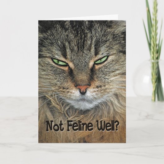 Gute Katze Karte (Vorderseite)