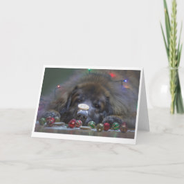 Gute Leonberger Weihnachtskarte Feiertagskarte
