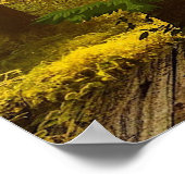 GUTE LESESPOSTER: "Fairy Tales" Poster (Ecke)